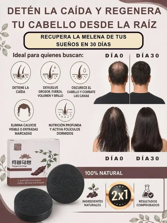 Polygonum - Shampoo en bara Para crecimiento y cuidado del cabello. 2X1