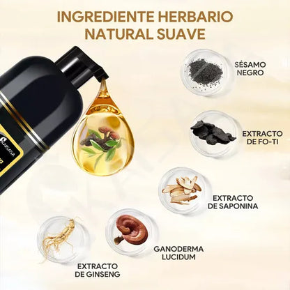Shampoo tinte DEXO® | Devuelvele el color natural de tu cabello de forma natural🌱
