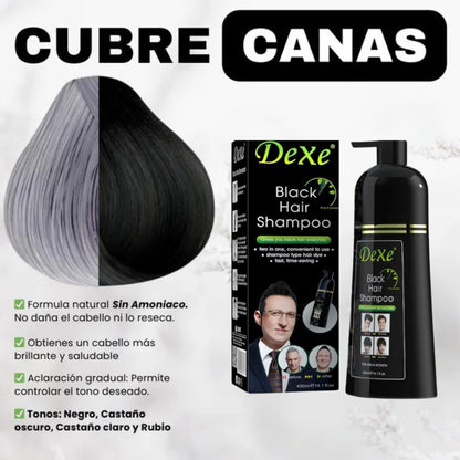Shampoo tinte DEXO® | Devuelvele el color natural de tu cabello de forma natural🌱