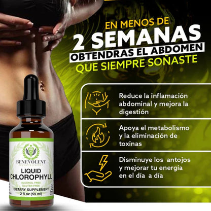 Gotas de clorofila líquida BENEVOLENT®  | Desintoxica tu cuerpo de forma natural🌱
