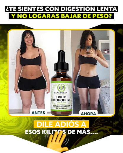 Gotas de clorofila líquida BENEVOLENT®  | Desintoxica tu cuerpo de forma natural🌱